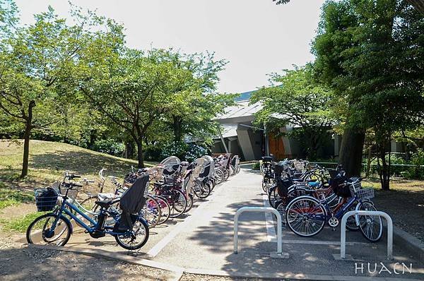 20180604-DSC_7031.jpg