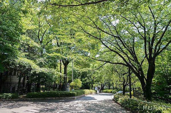 20180604-DSC_7035.jpg