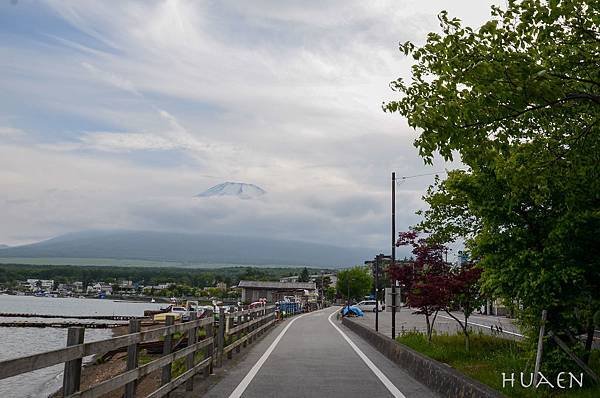 20180605-DSC_7263.jpg