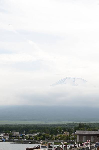 20180605-DSC_7266.jpg