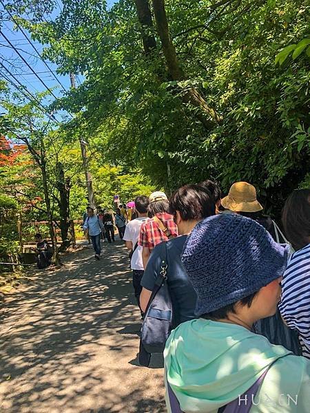 20180603-IMG_4326.jpg