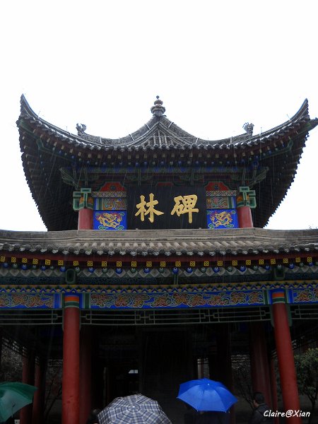 DSCN6061.jpg