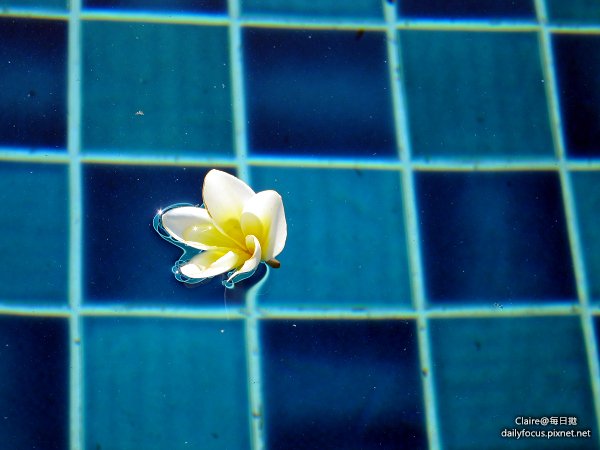 IMG_1969