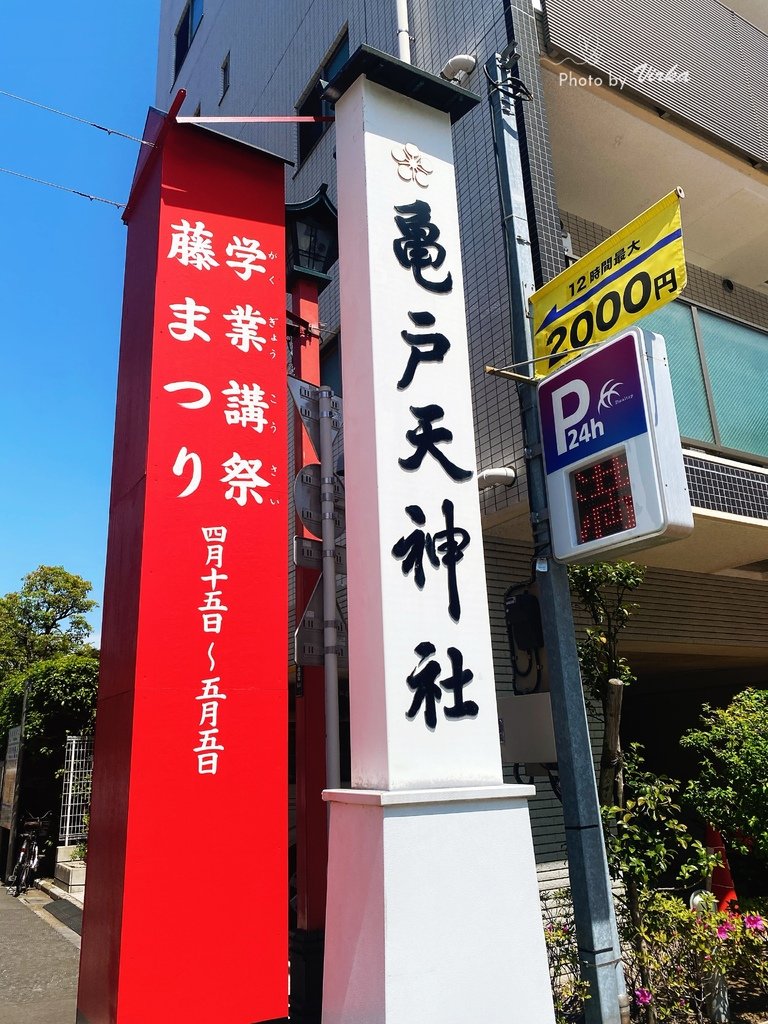 景點｜龜戶天神社－東京紫藤花季