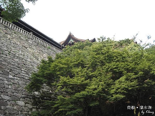 一片綠的清水寺.jpg
