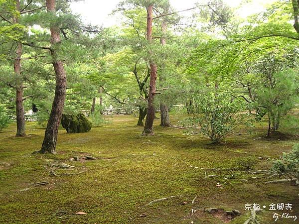 綠色的金閣寺.jpg