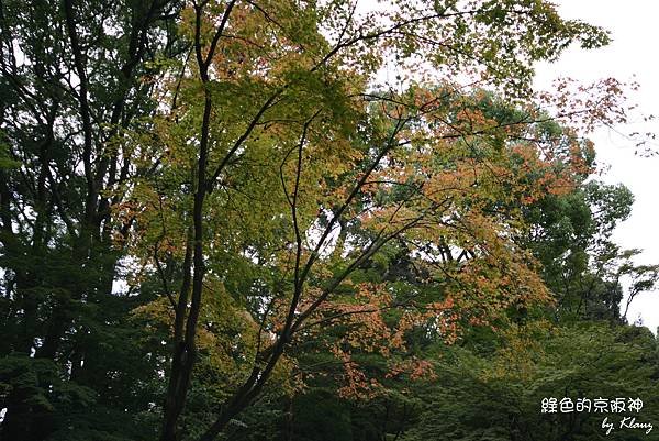 進入金閣寺.jpg