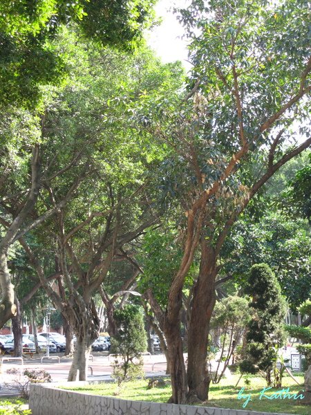 學校最後面.jpg