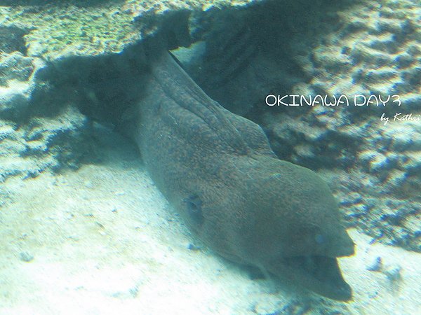 IMG_3347x.jpg