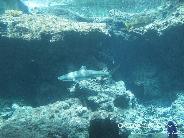 IMG_3346x.jpg