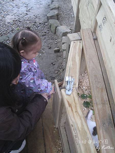 [1Y5M13D]小妞＆兔兔