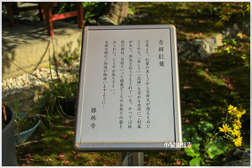 勝林寺 (19).jpeg