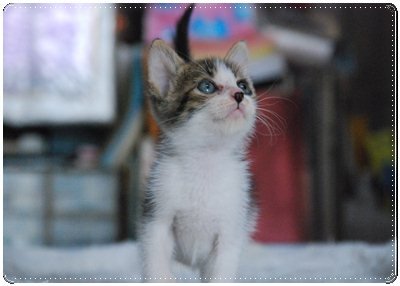 DSC_5746.JPG