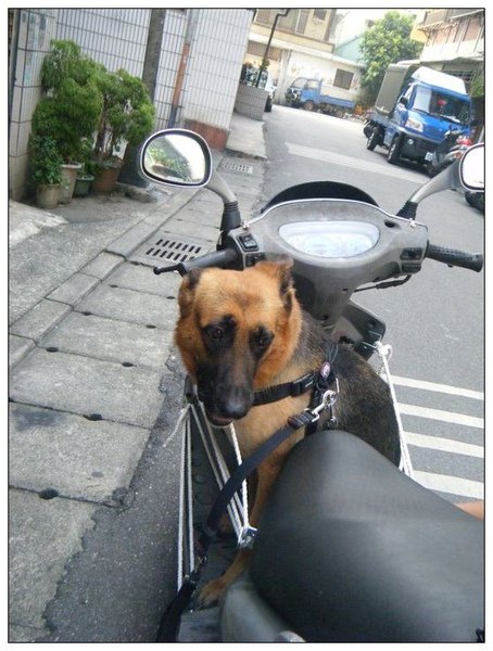 可可11.jpg