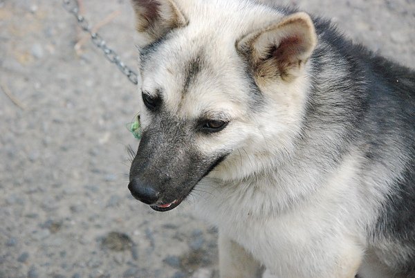 DSC_4670.JPG