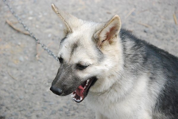 DSC_4671.JPG
