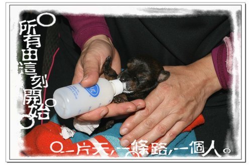 杜小妞1.jpg