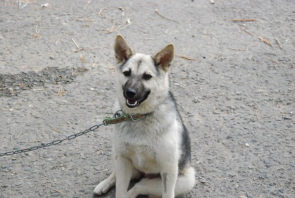 DSC_4675.JPG