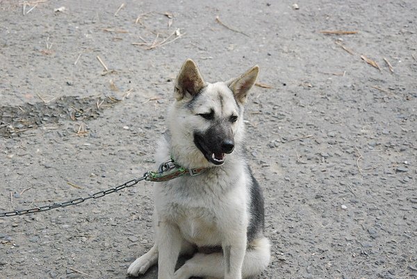 DSC_4676.JPG