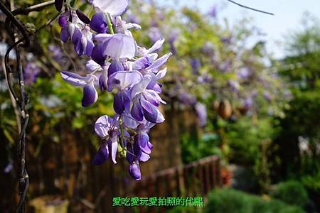 DSC05795.JPG