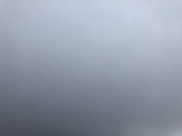 20191231_IMG_4339.JPG