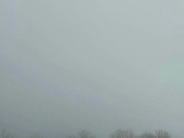 IMG_5550.jpg