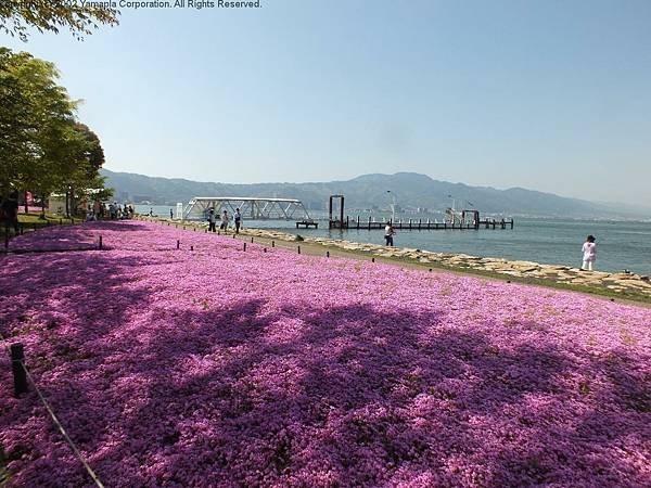 DSCF7060.jpg