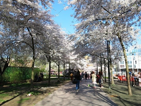 02.JPG