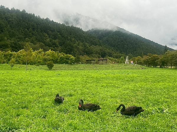 LINE_ALBUM_武陵_231019_19.jpg