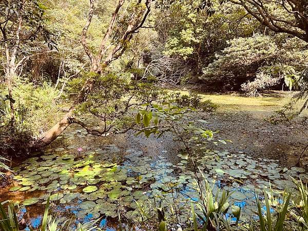 2024-08-04  土庫岳（更寮古道）--紀錄
