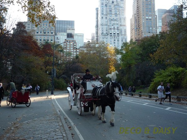 P1000579-1.JPG