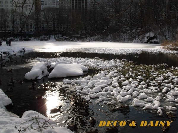 DSCF6234-1.JPG