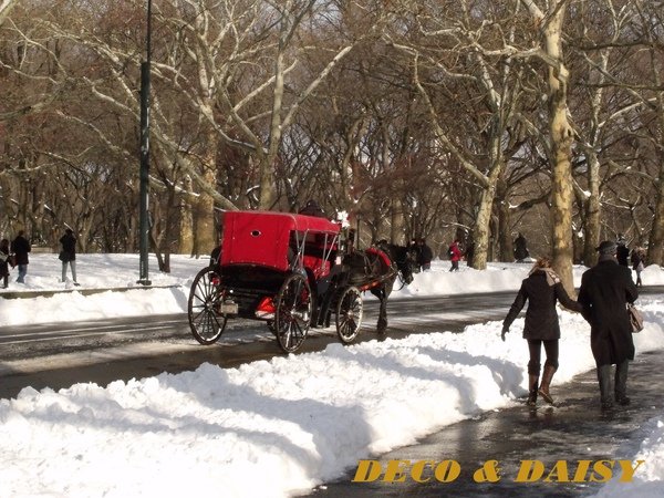 DSCF6256-1.JPG