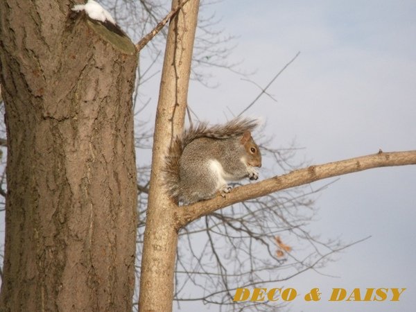 DSCF6261-1.JPG