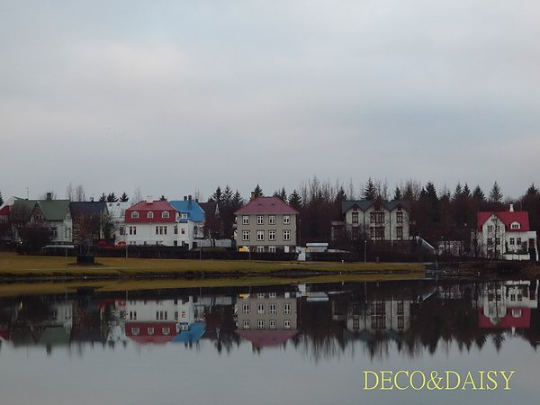 P1040534-1.jpg