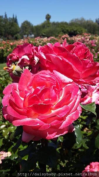 20150703_144335.jpg