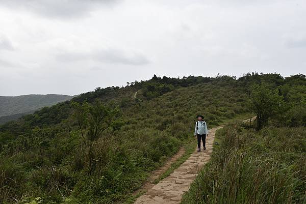DSC_1280.JPG