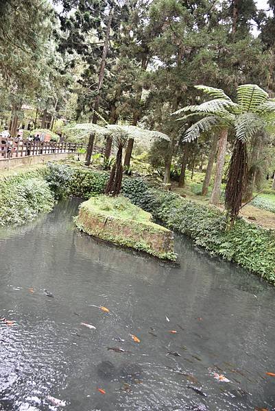 DSC_4786.JPG