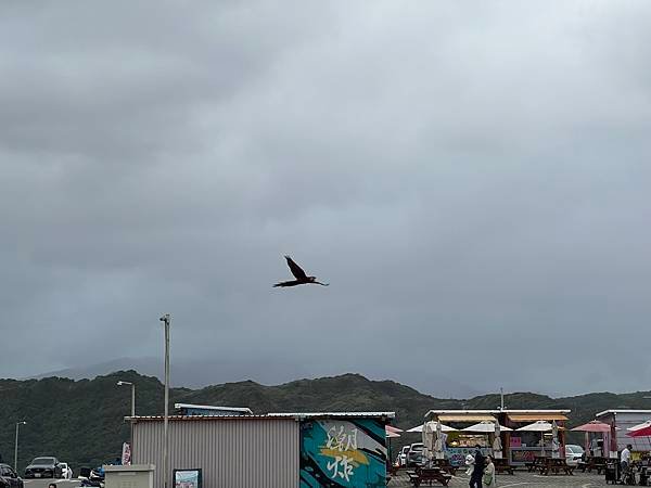 IMG_8082.JPG