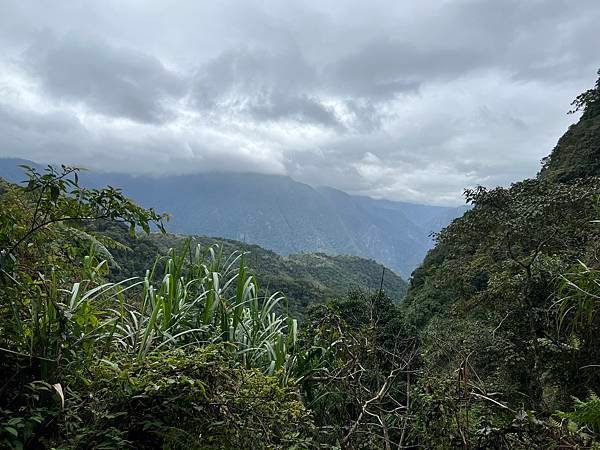 IMG_3544.JPG