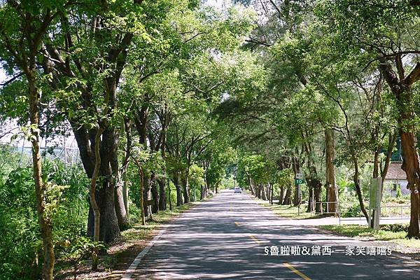 圖片61.jpg