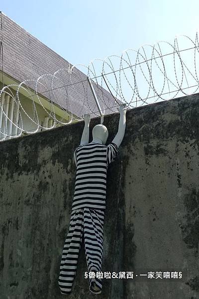 圖片19