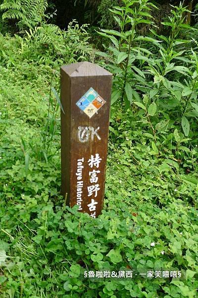 圖片9.jpg