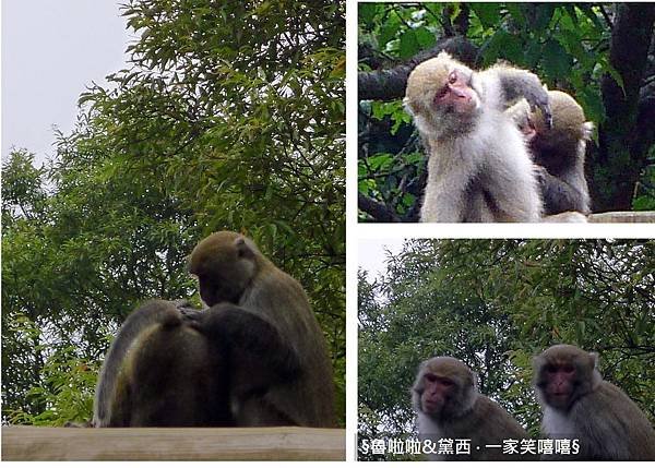 圖片17.jpg