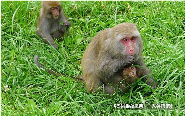 圖片18.jpg