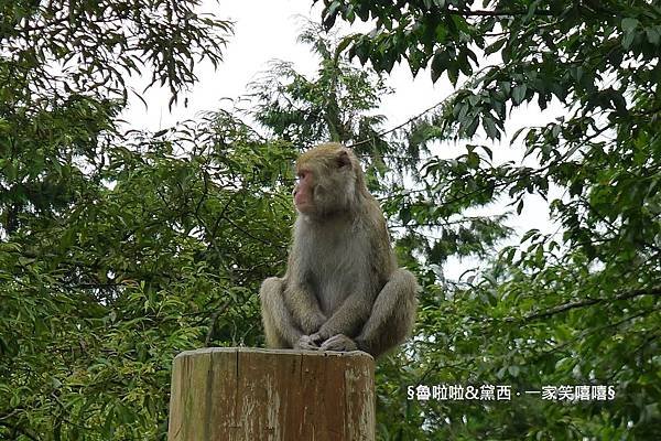 圖片20.jpg