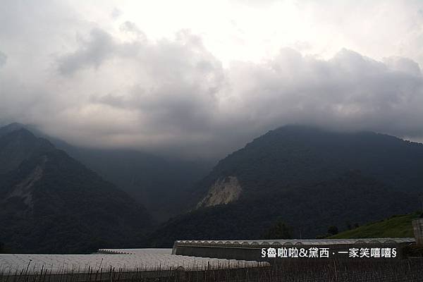 圖片31.jpg