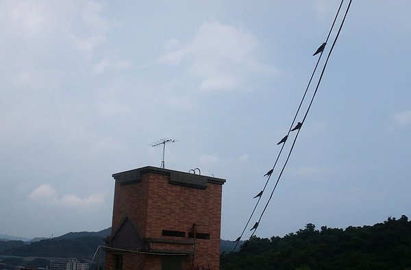 20100730-4.JPG