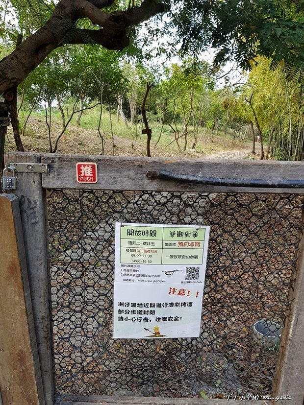蓮池潭9.jpg