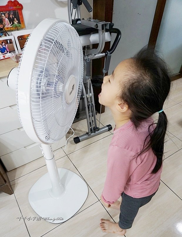 北方微電腦電風扇5.JPG